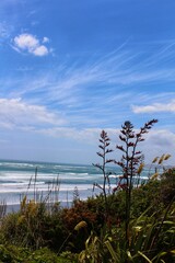 Raglan beach