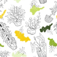 Hand drawn bright funny doodle pattern with home plants