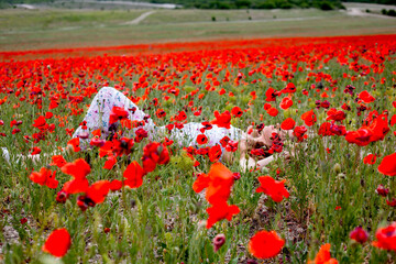 Obraz premium Happy woman in sundress walking in the field with wild flowers and make the bouquet