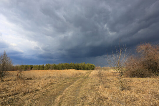 thunderstorm in spring stepe