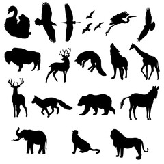 Set of animals silhouettes 
