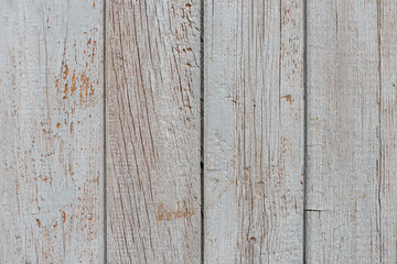 Old wooden vertical boards with peeled gray paint