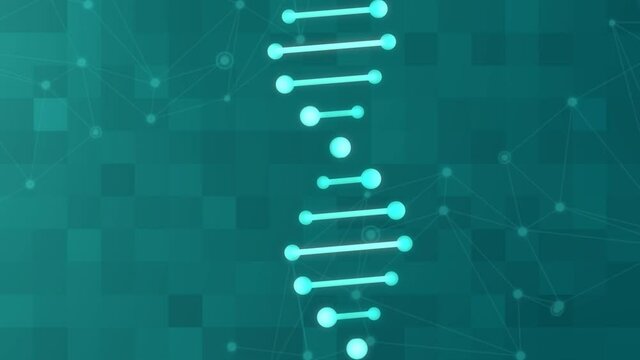 Animation of DNA structure. Medical science looped background. abstract rotating double helix molecule. chromosome, genes, genetics, genome medical concept. animated medical stock footage
