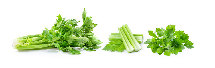 Celery on white background