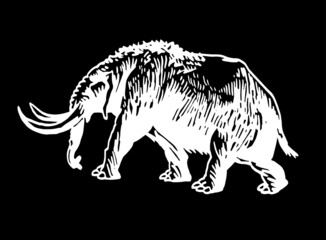 Plakat Graphical illustration of woolly mammoth isolated on black background,ancient animal