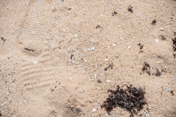 texture of beach sand
