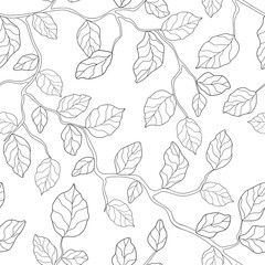Hand drawn branches with leaves on a white background. Seamless floral summer pattern. Suitable for coloring book, textile, wallpaper.