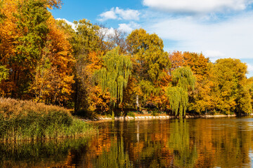 Picturesque view of the autumn forest, bright, colorful trees and their reflection in the pond
