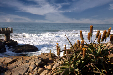 Shore of Margate, South Africa