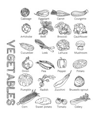 Set of vegetables