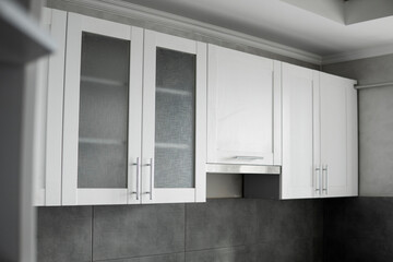 Modern minimalism style kitchen interior in monochrome tones. Custom kitchen with grey white...