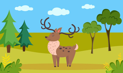 Deer with thick fur and long antlers standing in meadow. Mixed forest landscape flora and fauna