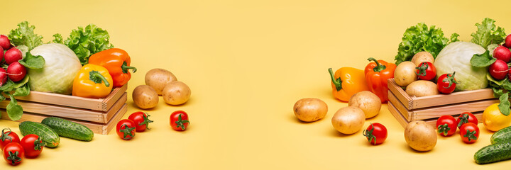 Self-grown vegetables on a yellow background. Peppers, potatoes, tomatoes, cabbage, lettuce, radishes, cucumbers. Home farming. Natural healthy foods without nitrates. Copy space. Wellness.