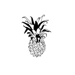 Vector monochrome Pineapple sketched fruit isolated. Outline art logo template design.