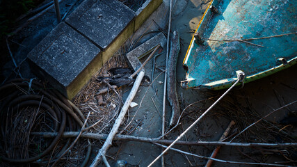 Cropped image of a boats crashed to the surface of the shore, black albatross trapped in the ruins, did not survive.