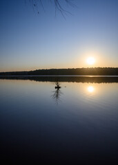 Fototapeta premium Landscape at golden sunset with trees reflecting in the lake At the beginning of the spring season. A bush sticking out the water and the sun over the horizon.