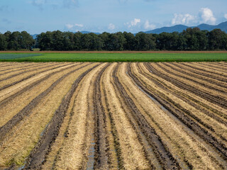 Fototapeta premium 秋の収穫後に耕された北海道の農地
