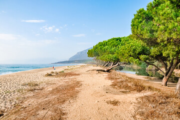Interesting beach landscape of Orosei with pine trees, mountain and river takein in Sardinia Italy.