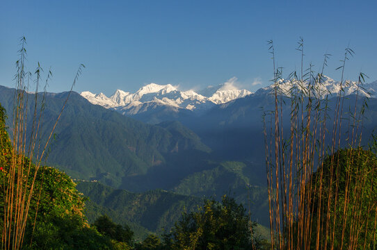 Beautiful grass framed morning view on snow-capped mount Kangchenjunga in Himalaya range seen from Pelling, Sikkim, India