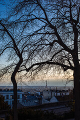 early spring view of Eiffel tower from Montmartre