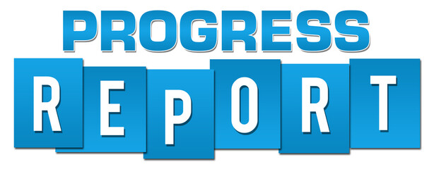 Progress Report Blue Professional 