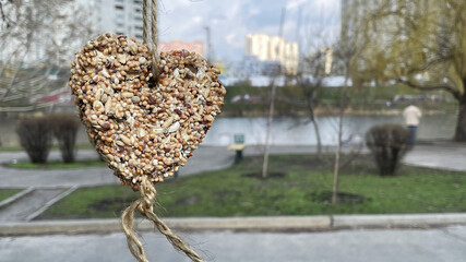 Pressed feed for birds at the park