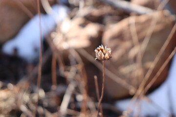 겨울 산의 공기