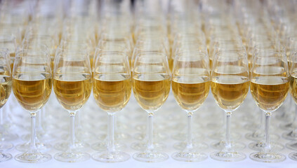 A glass of wines for Degustation.