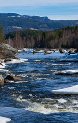 Hallingdalselva, a river in the Hallingdal valley in County Buskerud. Spring snow thaw - obrazy, fototapety, plakaty
