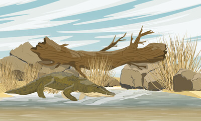 Nile crocodile Crocodylus niloticus stands near the river. A fallen tree lying on two stones above a lake with sandy and clayey shores. A tree trunk bridge over the lake. Realistic vector landscape