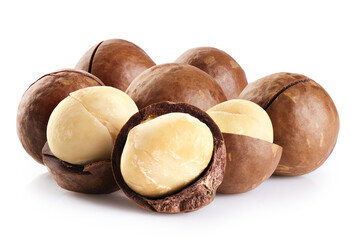 Macadamia nuts isolated on a white background.