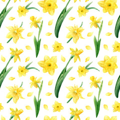 Seamless daffodils pattern. Watercolor botanical illustration with yellow spring flowers, petals and leaves