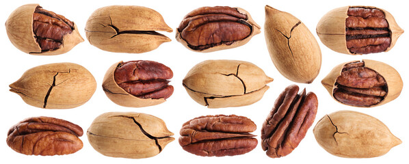 Pecan nuts isolated on white background.