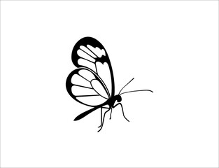 Dragonfly Logo Vector icon illustration design template
