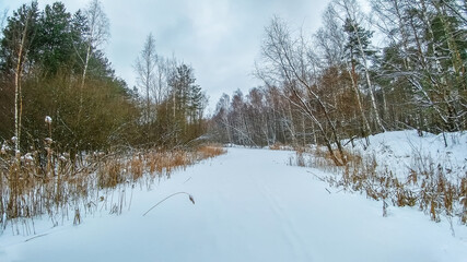 Lake in winter time