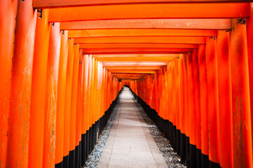 fushimiinari#2