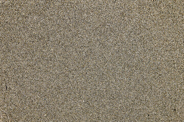 Surface texture of wet fine beach sand for the backdrop.
