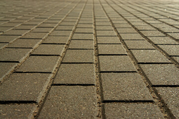 Fototapeta premium paving slabs in the rays in warm evening colors