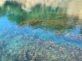 Glittering sea turquoise clear water background.  Amazing emerald green watercolor. Calm shiny sea water surface.