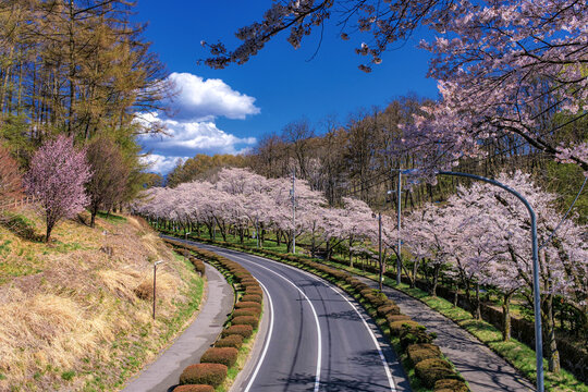 長野県・春の茅野市運動公園の風景