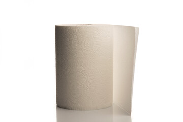Paper kitchen towel roll isolated on white.