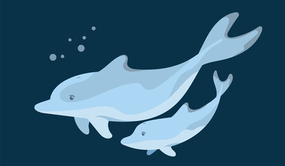 Two dolphins, a parent and a child swim underwater while in motion. A graphic element of summer or marine design. Vector illustration in cartoon style. Isolated object on a dark background.