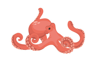 An octopus with tentacles, a resident of the ocean. A graphic element of summer or marine design. Vector illustration in cartoon style. Isolated object on a white background.