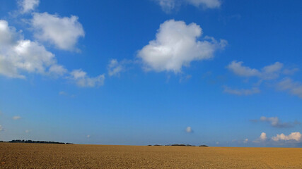 Open spring farm landscapes with big blue sky & plenty of space for test, type