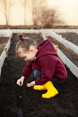 A little sweet girl in yellow boots planting seeds of vegetables and flowers on the bed. A cottage and a vegetable garden. children's development. horticulture. Spring and summer holidays, hobbies