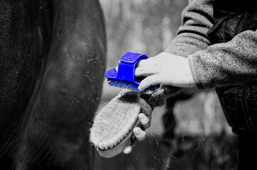 Fellwechsel © Leonie