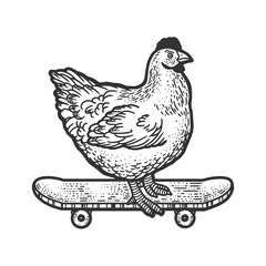 Fototapeta na wymiar Chicken hen bird ride on skateboard sketch engraving vector illustration. T-shirt apparel print design. Scratch board imitation. Black and white hand drawn image.