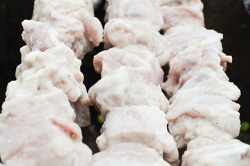 Selective focus on barbecues on grill. Skewers with raw meat lie over coals. Tasty meat is fried on charcoal. Summer BBQ picnic concept. Process of cooking pork kebab.