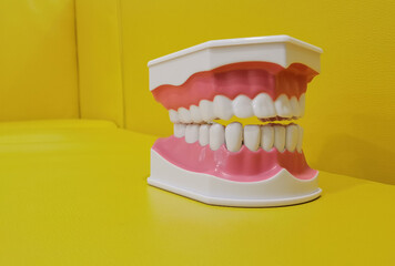 model of teeth for dentists to explain various tooth diseases or problems in yellow background.