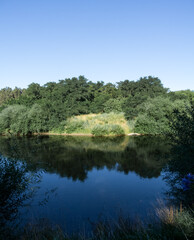 Fototapeta premium Pond like a mirror